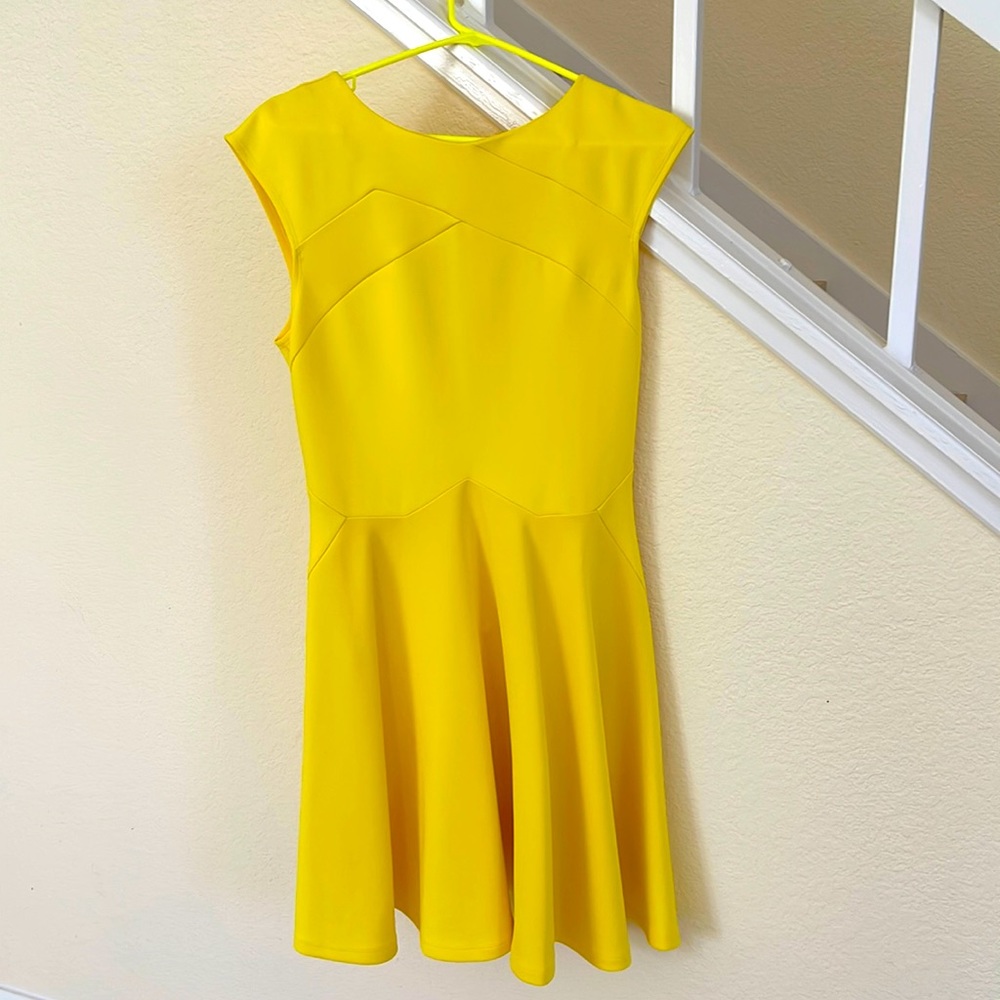 Ted Baker dress